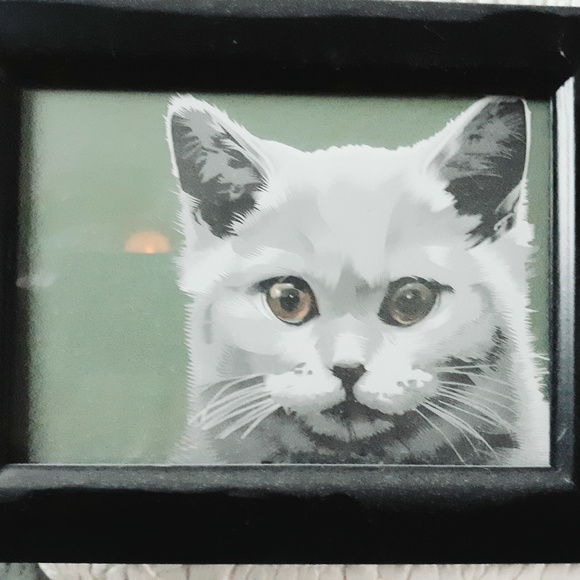 Framed Cat Portrait. Copy of classic cat stare - Picture 4 of 4